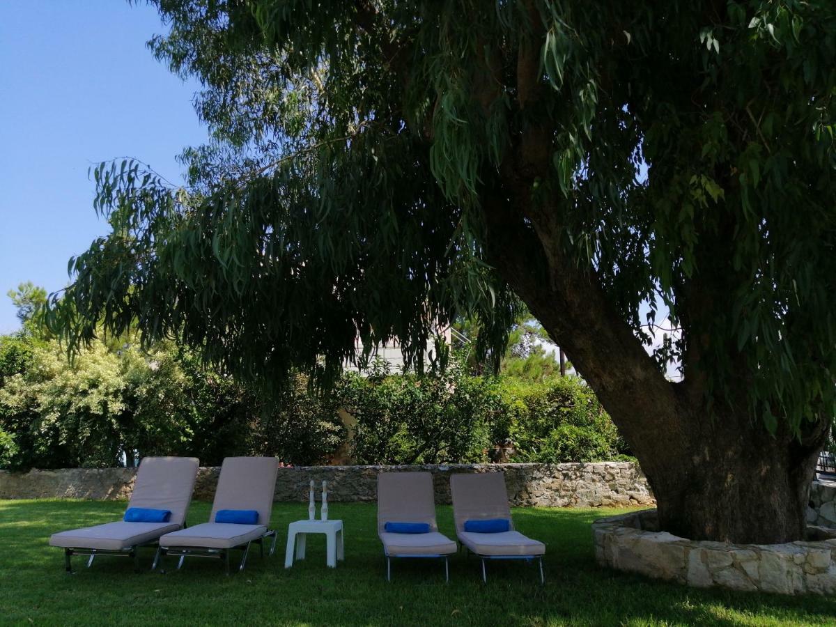Cedar Tree Villa Kounoupidhianá Exterior foto